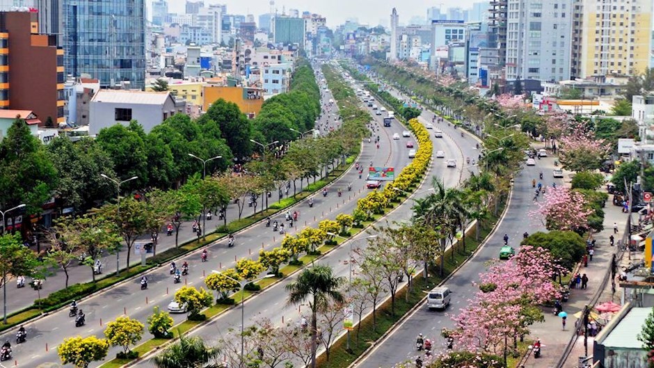 Ảnh hưởng của đô thị hóa