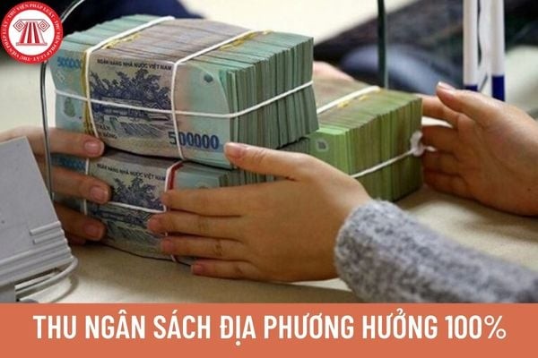Các khoản thu nào mà ngân sách địa phương được hưởng 100%? Những khoản chi nào thực hiện nhiệm vụ chi của ngân sách địa phương?
