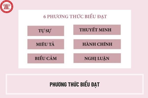 Các phương thức biểu đạt trong văn bản