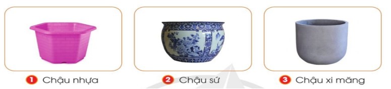 Chậu nhựa trồng cây cảnh
