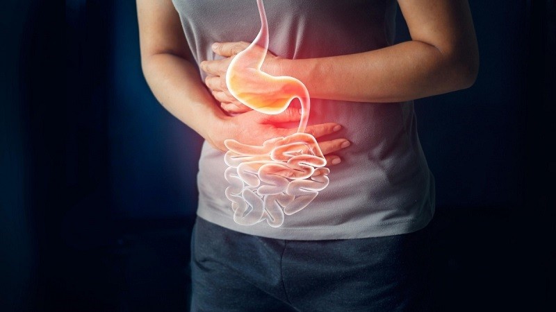 Hệ tiêu hóa hoạt động nhịp nhàng
