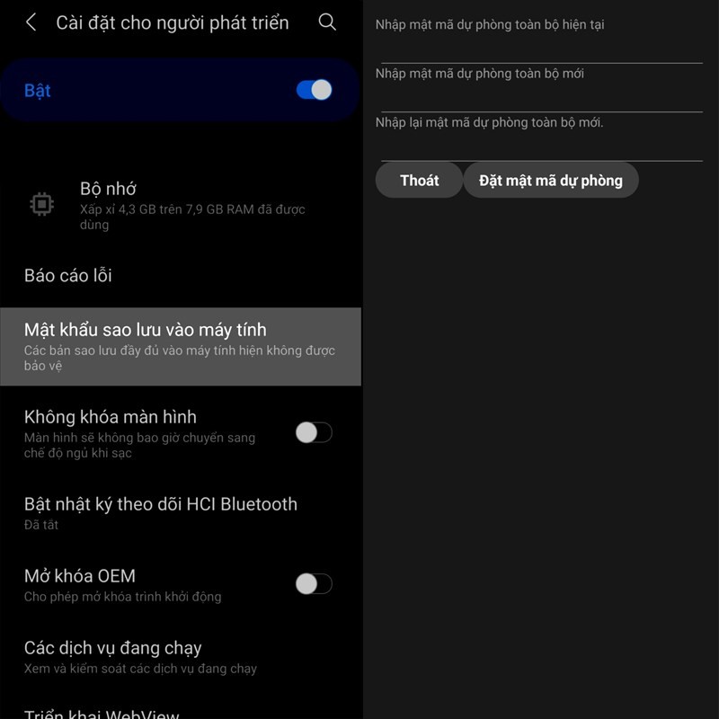 Mật khẩu sao lưu