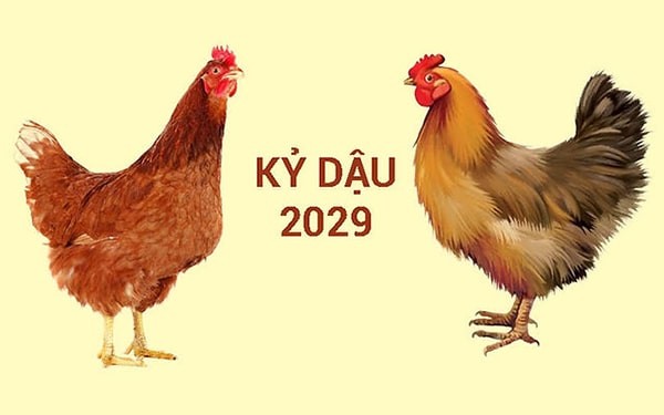 Năm 2029 là năm con Gà