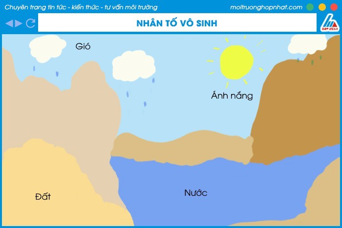 Nhân tố vô sinh