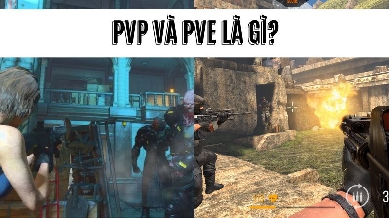 PVE và PVP là gì?