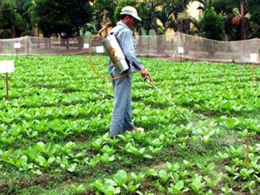 Quá trình sản xuất chăn nuôi đã tiềm ẩn mất vệ sinh an toàn thực phẩm