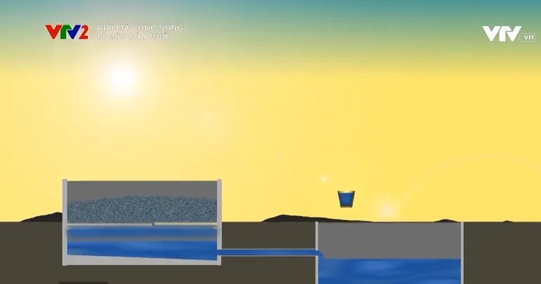 Sản xuất muối bằng phương pháp bay hơi nước biển